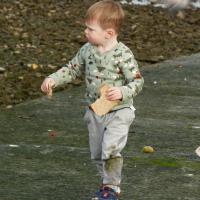 1st Novice Color - Dont Look Now -Kathleen Brennan