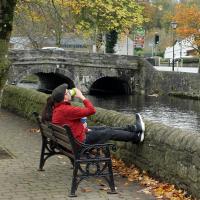 3rd Novice Color - Happy Feet - Gabriel Cloonan