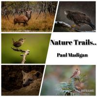 Some of Paul Madigan's work